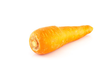 carrots on white background