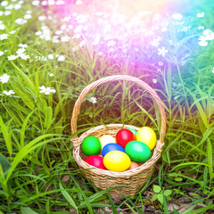 Basket of easter eggs on meadow, Closeup
