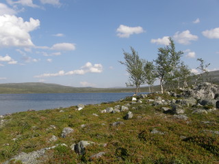 Arctic landscape with a lake, rocks and dwarf birch-trees near Kilpisjarvi, Lapland, Finland