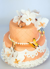 Handmade Cake. two-tier cake with flowers and butterflies.