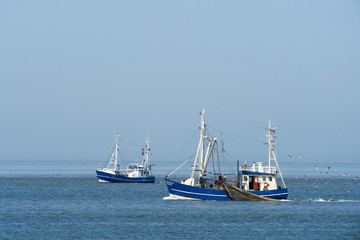 Fototapeta na wymiar Fischkutter vor Norderney