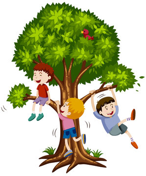 Three boys climbing the tree