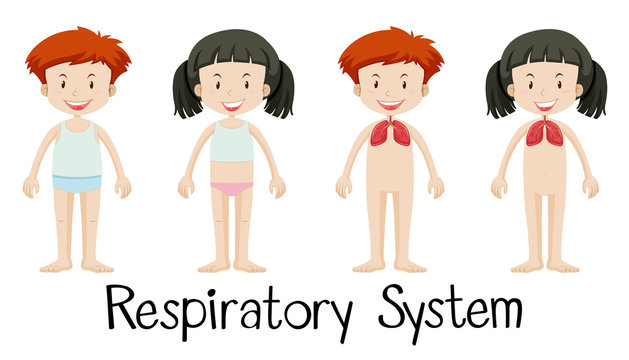 Children and respiratory system