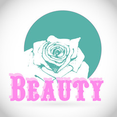 Vector flower rose isolated on white.