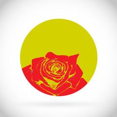 Vector flower rose isolated on white.