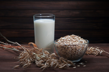 oatmeal with ears of oats and a glass of milk on wooden dark background