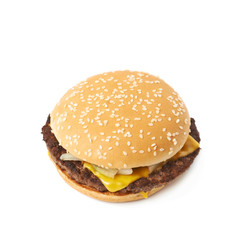 Fresh hamburger isolated