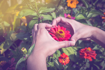 Woman holds heart shape with red flowers.