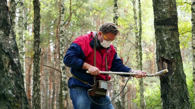 Protection of the environment and ecology.  Dosimetrist radioactivity was measured using a device -  dosimeter in the green sunny forest. Radiation Measurement. Atomic nuclear energy.