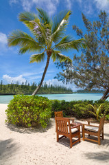 Fototapeta premium Table and chairs under a palm tree on a tropical beach, Ile des Pins, New Caledonia