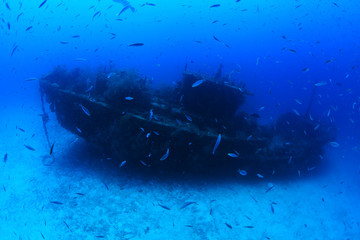 Fesdu shipwreck in the indian ocean