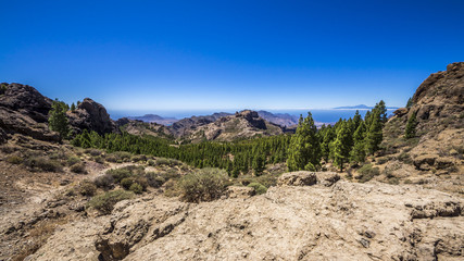 Fototapeta na wymiar Naturpark Roque Nublo auf Gran Canaria mit Blick auf den Teide auf Teneriffa 
