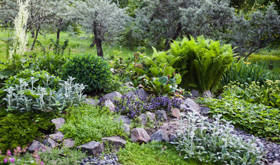 Lush vegetation in the green rock garden