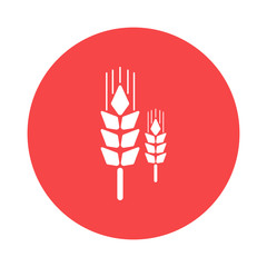 Obraz premium spica icon