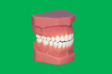 model teeth, greenscreen/ chroma key
