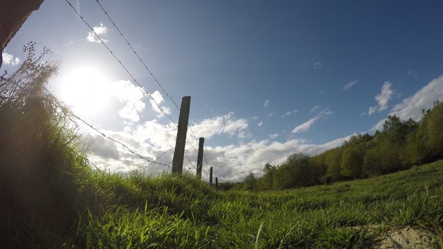 Weide / Wolken Timelapse