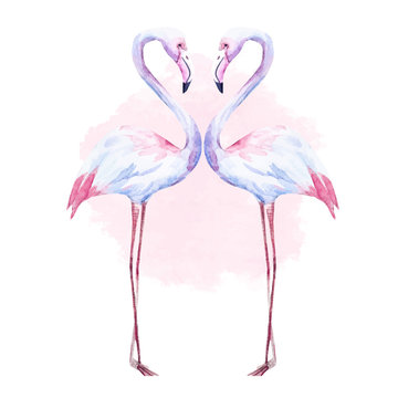 Nice watercolor flamingo