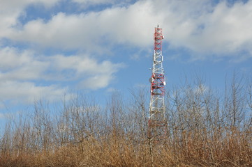 Obraz premium Communication tower in the forest
