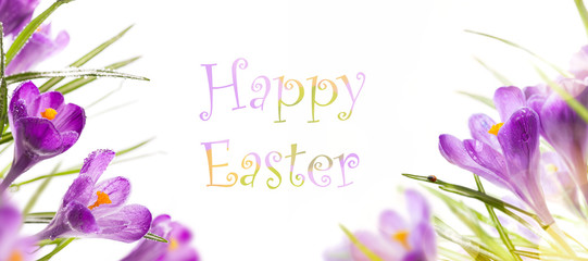 art easter background with spring flowers
