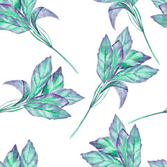 A seamless pattern with the isolated green basil, painted hand-drawn in a watercolor on a white background