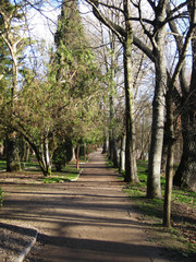 Paseos y campos.