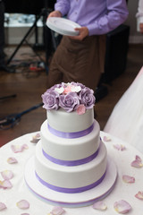 Elegant, delicious and tasty white wedding cake decorated with p
