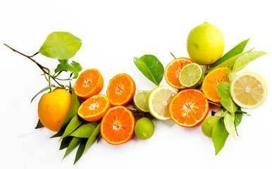 Vitaminreiche Zitrusfrüchte: Orangen, Zitronen, Limetten und Mandarinen :)
