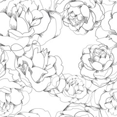 Black and white vector floral seamless pattern with linear roses