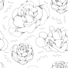 Black and white vector floral seamless pattern with linear roses