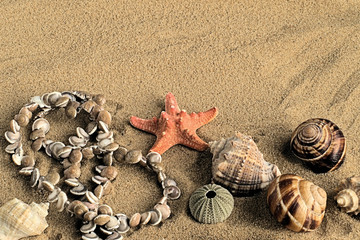 Fototapeta na wymiar Seashells. Sea shells and beads made of small shells on the sand.