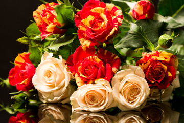 Colorful, beautiful, delicate roses with details and reflexions 