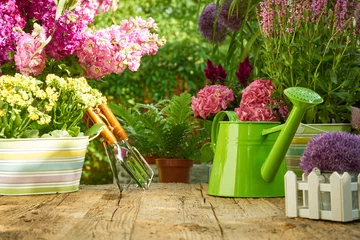 Gardening tools on wood table in the garden © ZoomTeam