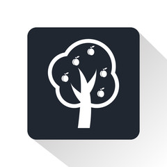 fruit-tree icon
