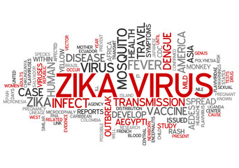 Obraz premium ZIKA Virus as abstract concept art
