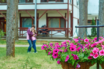 Fototapeta na wymiar Red petunia in flowerpots with a mother and daughter embraced on the background 