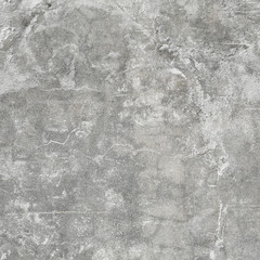grey background wall (concrete).