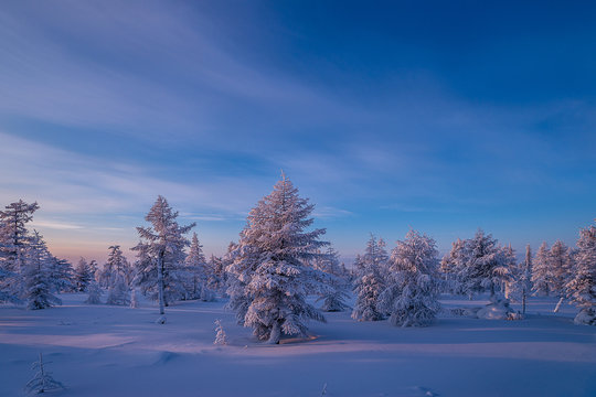 Winter landscape with forest, clouds on the blue sky and sun 