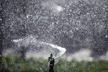 Fototapeta premium water sprinkler splash background.