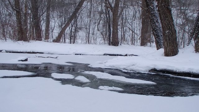 rivi&egrave;re en hiver