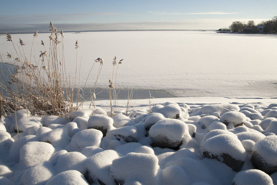 Kalmarsund,vik med utsikt mot Öland snöbelagd  stenar och vass i strandkanten
