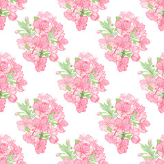 Obraz premium Flowers of Apple