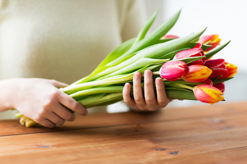 close up of woman holding tulip flowers