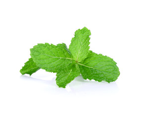 mint on white background