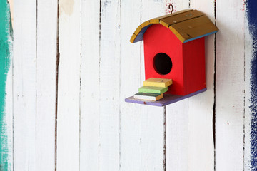 colorful bird house on grunge background.