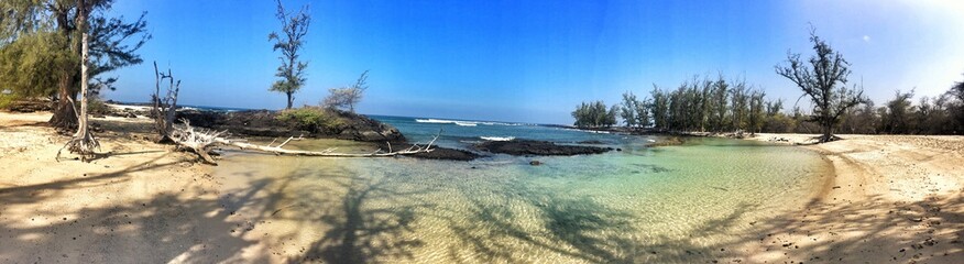 wild natural beach hawaii
