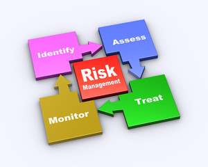 3d flow chart of risk management