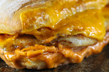 Tasty chicken steak sandwich in a ciabatta with cheddar cheese and thick romanian garlic sauce