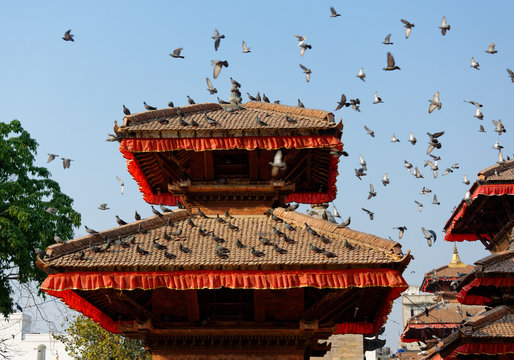 Pigeons flying at Durbar Square in Kathmandu