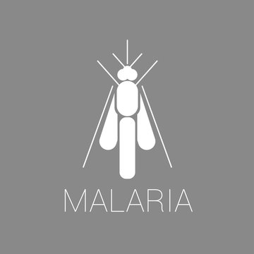 Vector abstract mosquito icon or a logo symbol