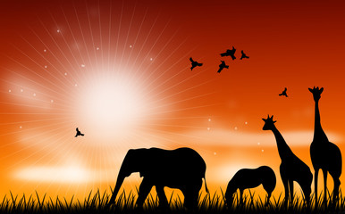 African animal scene illustration